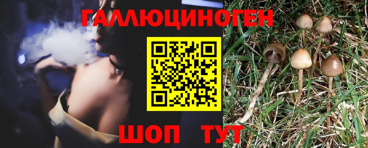 цены   Галлюциногенные грибы Magic Shrooms  Вход с VPN  Артёмовский 